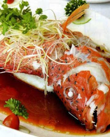 Ăn Hải Sản Cá Mú Đỏ Hấp Xì Dầu Ngon Tuyệt!